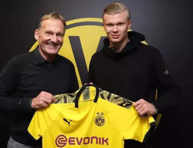 在商业化上 在商业化上